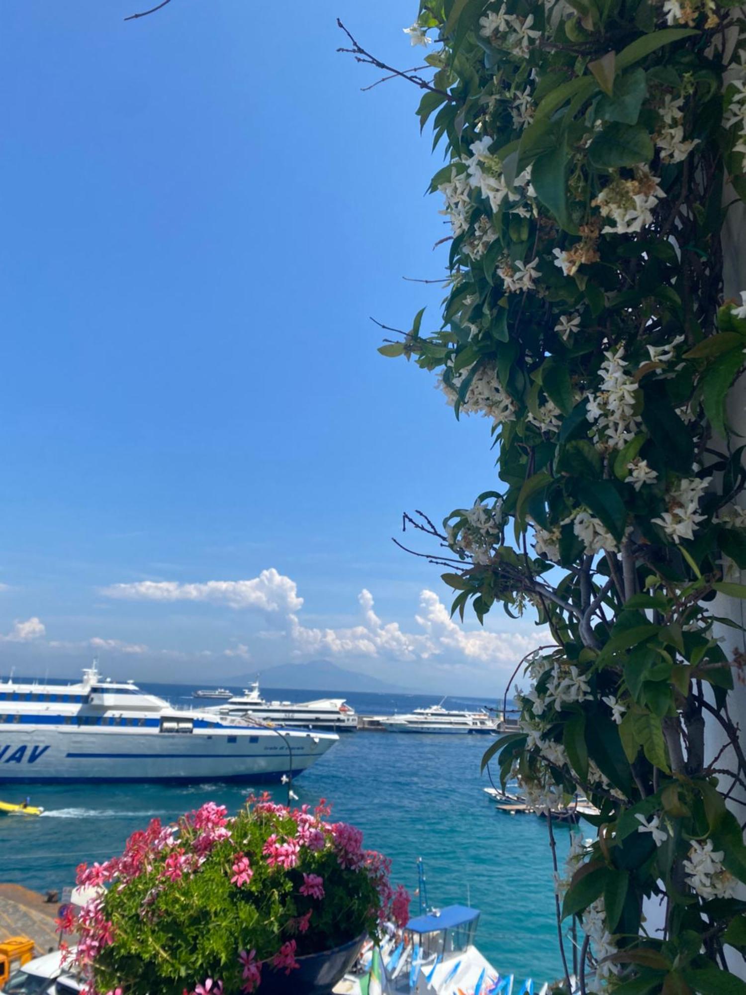 La Baia Di Napoli Apartment Capri Ngoại thất bức ảnh